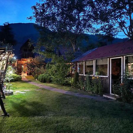 Casa De Vacanta Vidrighin Rau Sadului Екстериор снимка