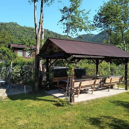 Casa De Vacanta Vidrighin Rau Sadului Екстериор снимка