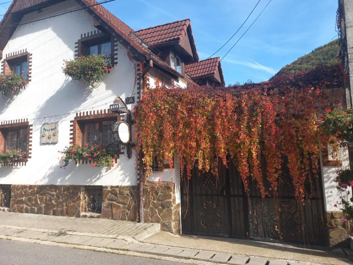 Casa De Vacanta Vidrighin Rau Sadului Екстериор снимка