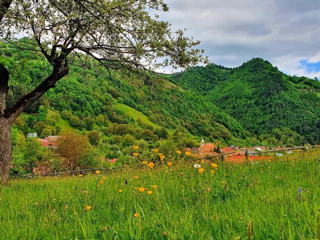 Casa De Vacanta Vidrighin Rau Sadului Екстериор снимка