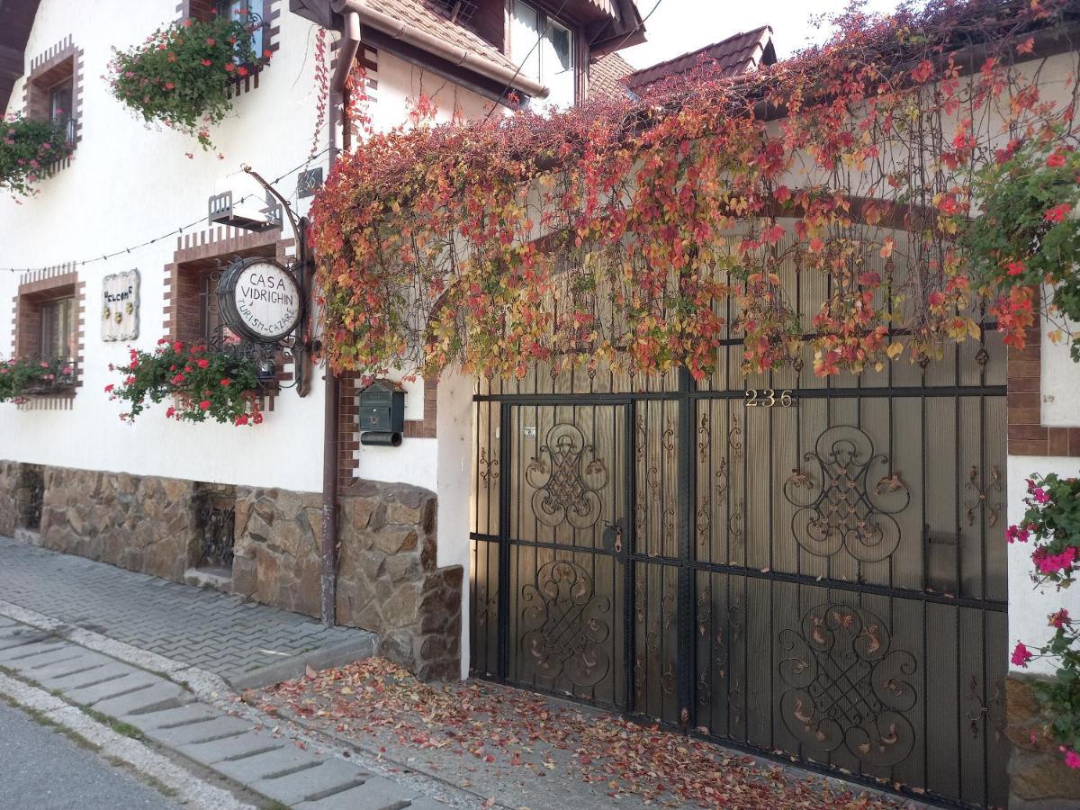 Casa De Vacanta Vidrighin Rau Sadului Екстериор снимка
