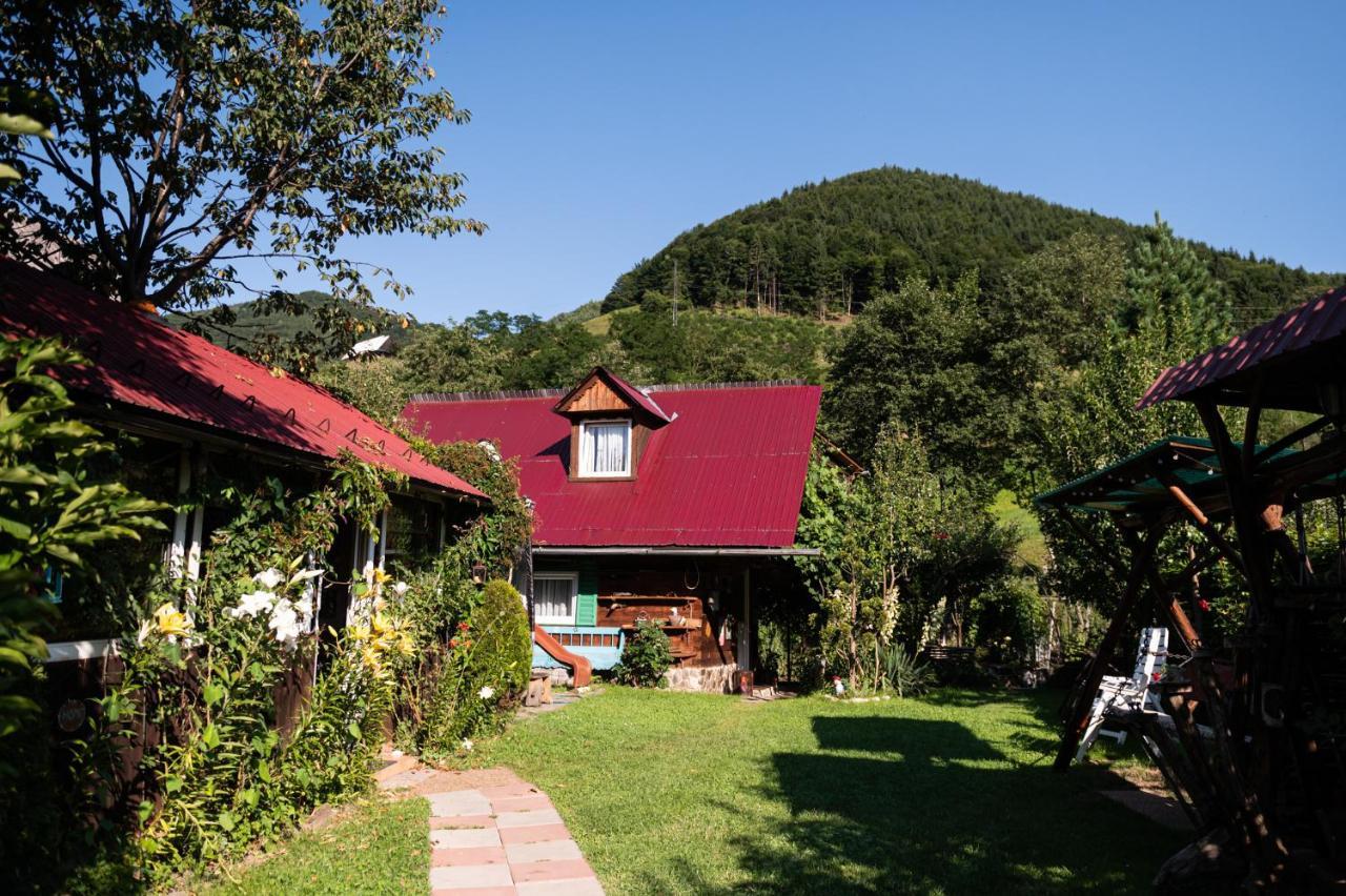 Casa De Vacanta Vidrighin Rau Sadului Екстериор снимка