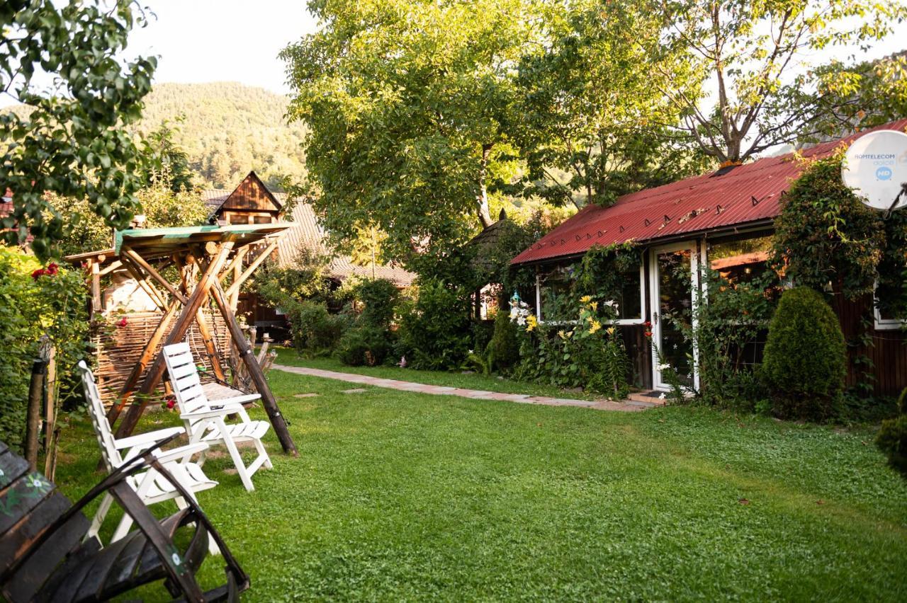 Casa De Vacanta Vidrighin Rau Sadului Екстериор снимка