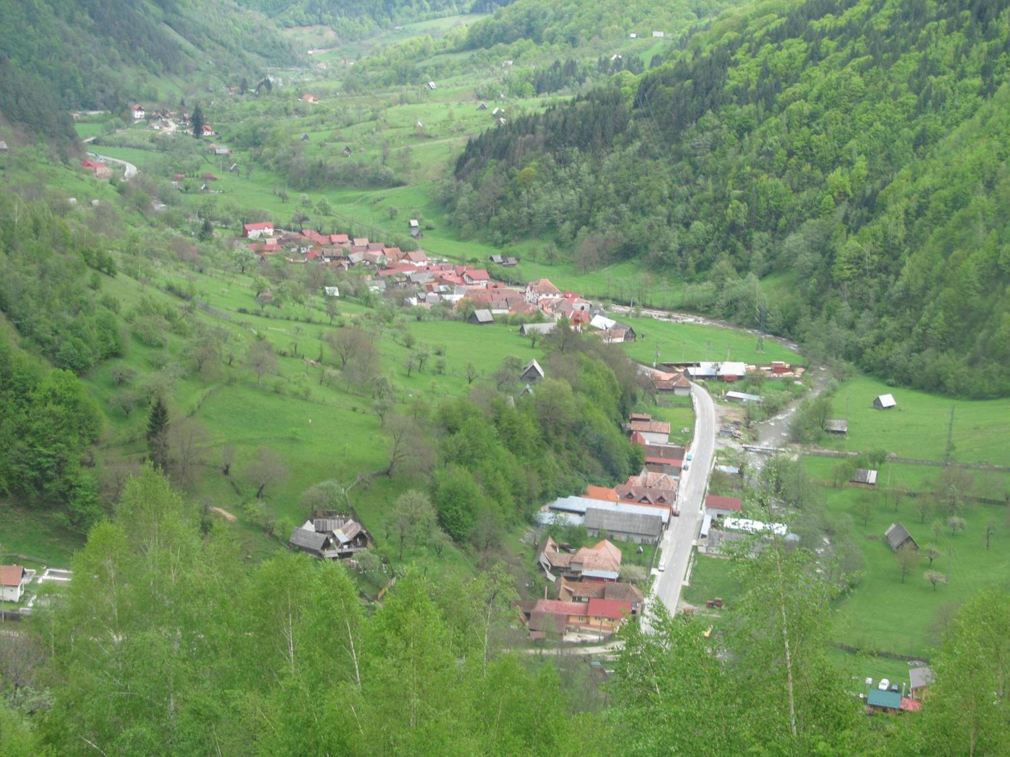 Casa De Vacanta Vidrighin Rau Sadului Екстериор снимка