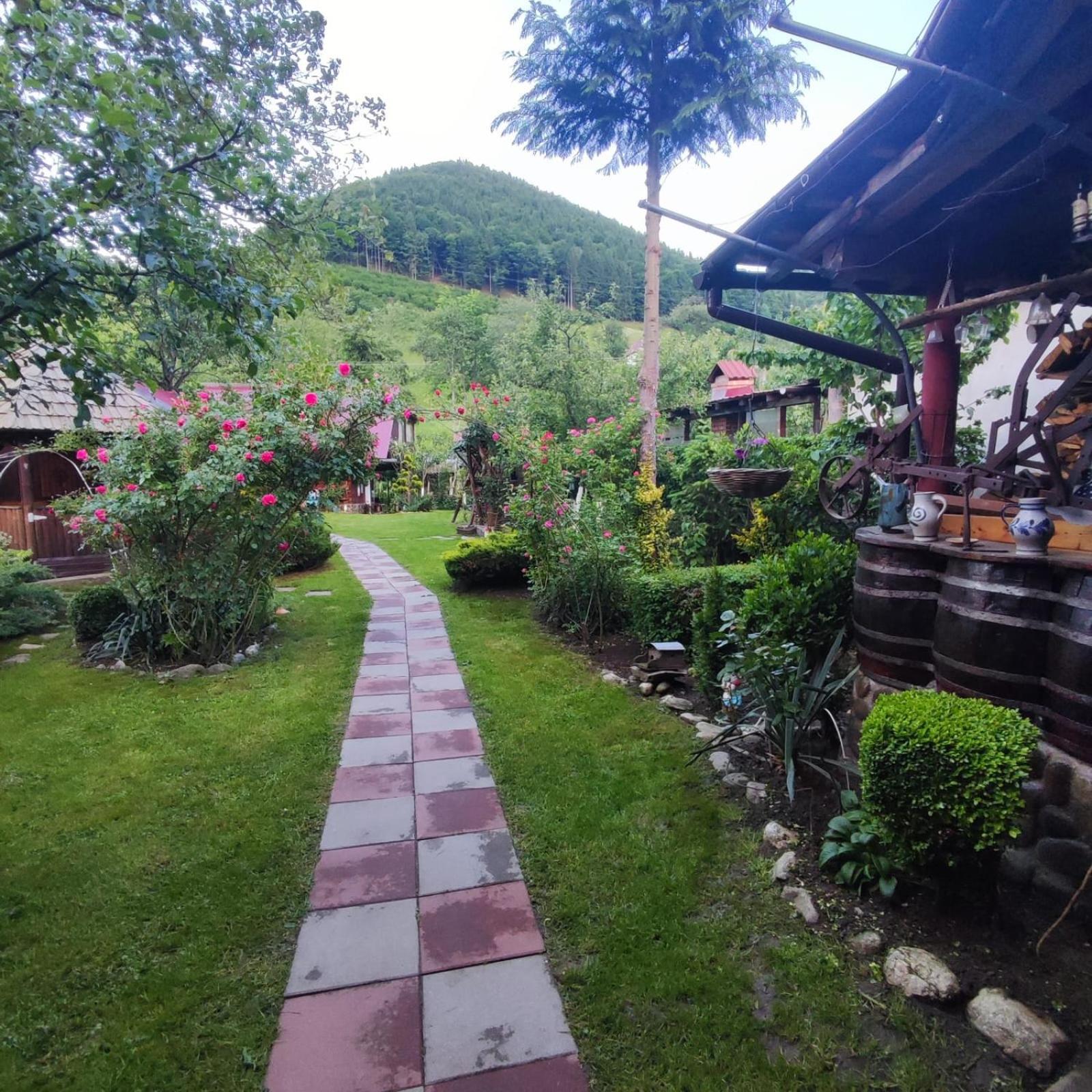Casa De Vacanta Vidrighin Rau Sadului Стая снимка