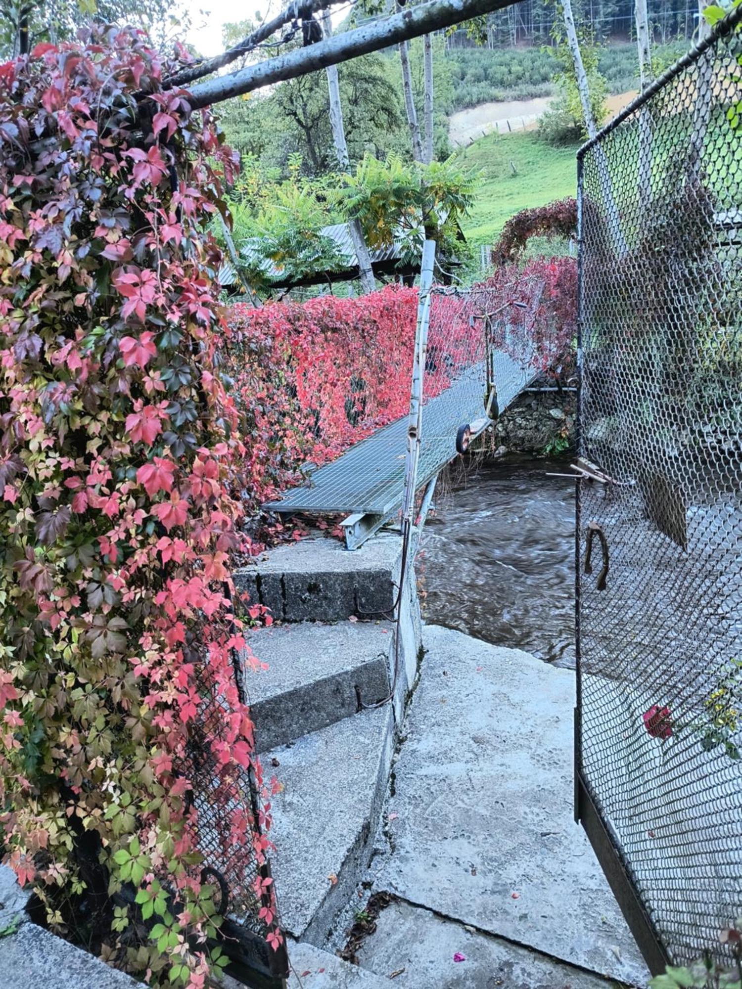 Casa De Vacanta Vidrighin Rau Sadului Стая снимка