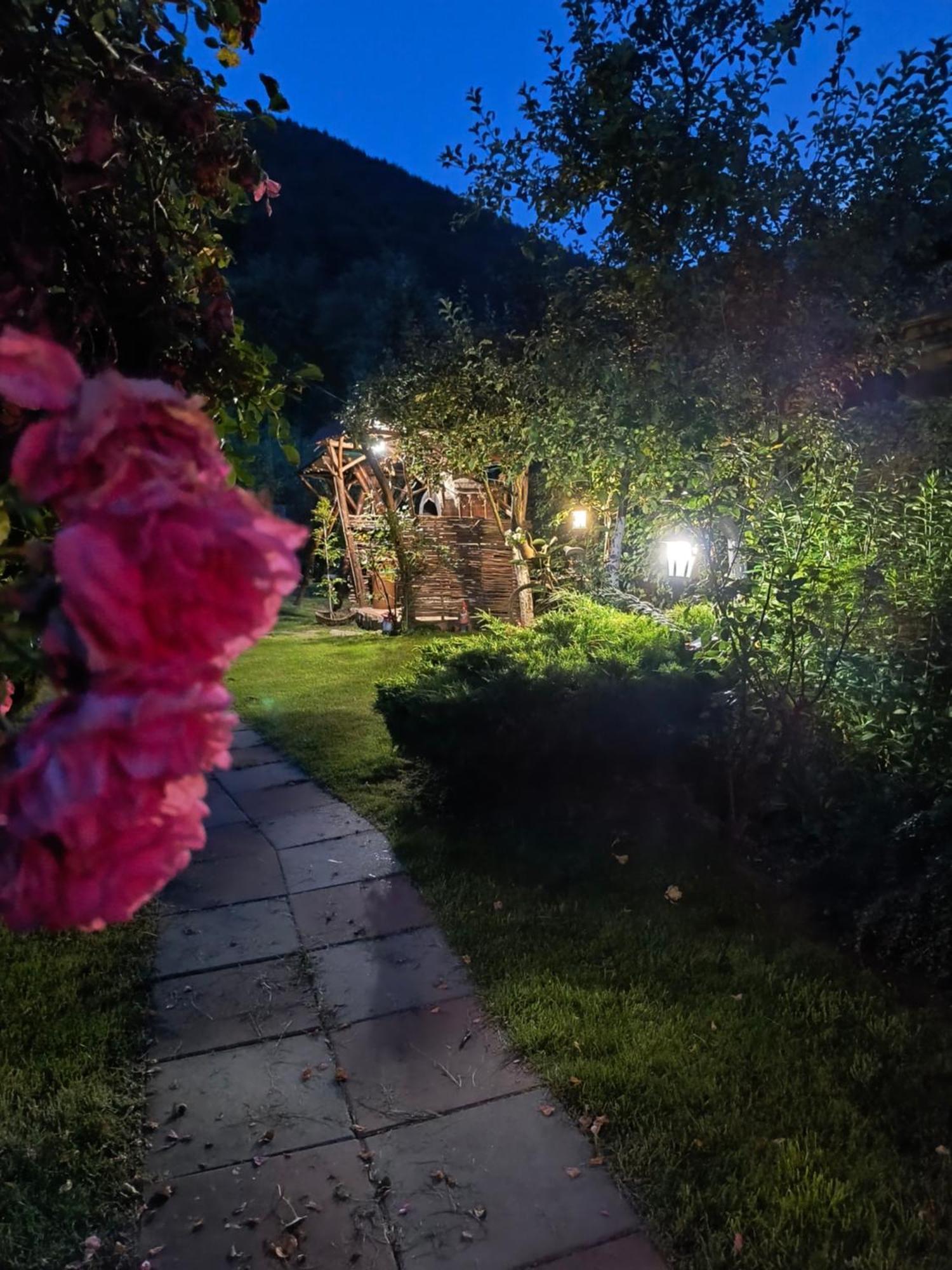 Casa De Vacanta Vidrighin Rau Sadului Стая снимка