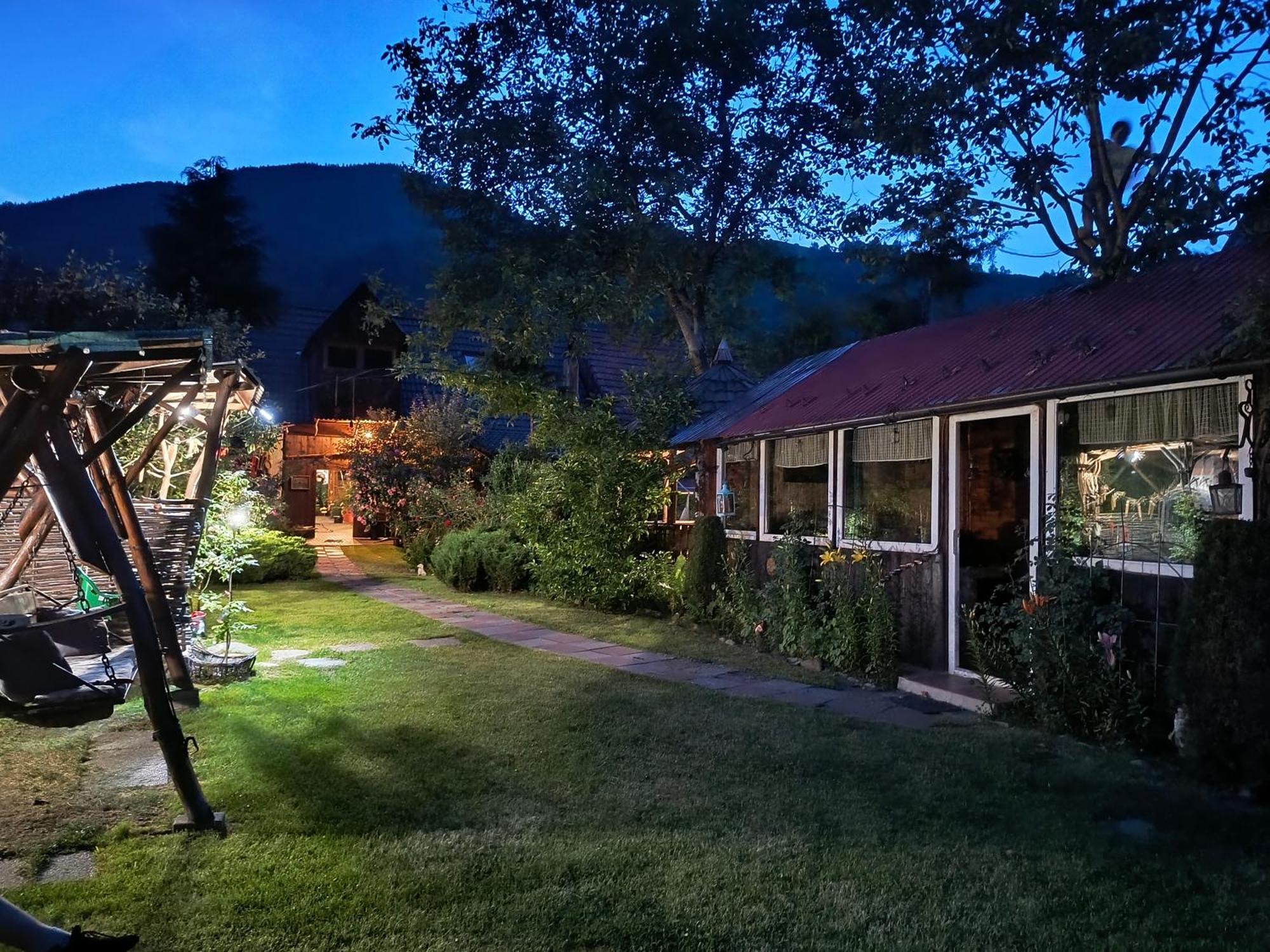 Casa De Vacanta Vidrighin Rau Sadului Екстериор снимка