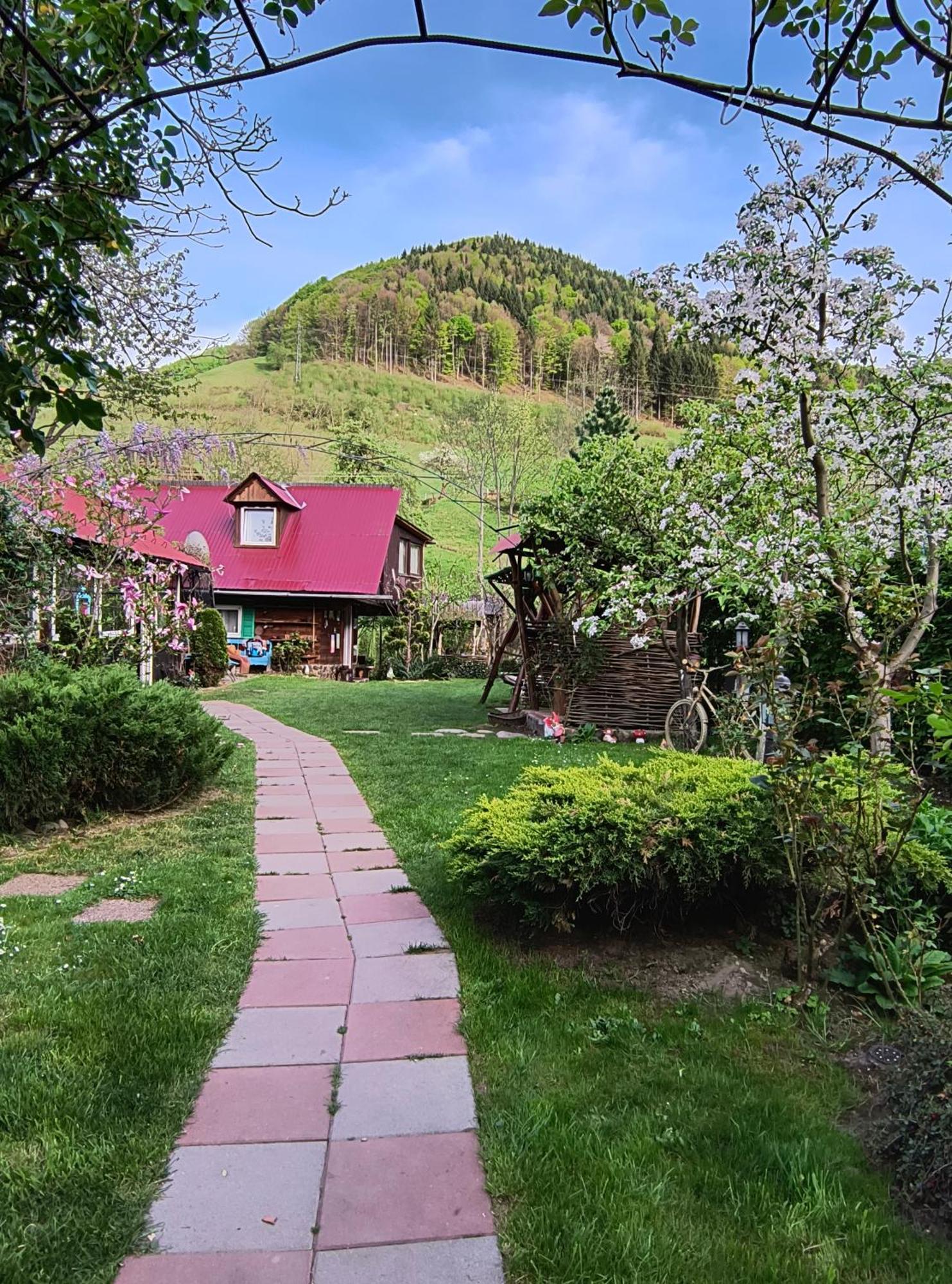 Casa De Vacanta Vidrighin Rau Sadului Екстериор снимка