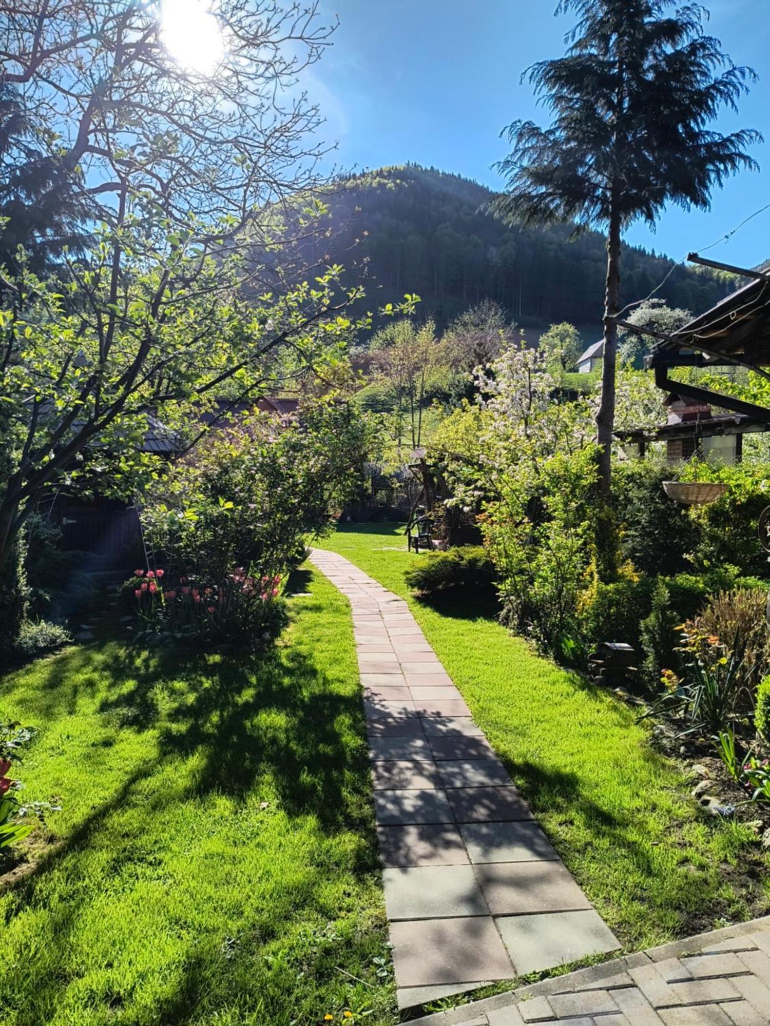 Casa De Vacanta Vidrighin Rau Sadului Екстериор снимка