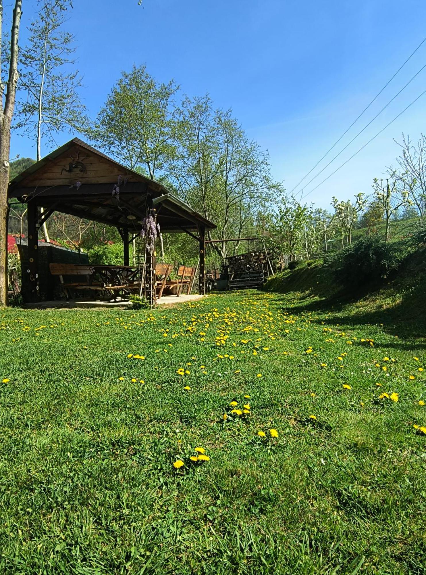 Casa De Vacanta Vidrighin Rau Sadului Екстериор снимка
