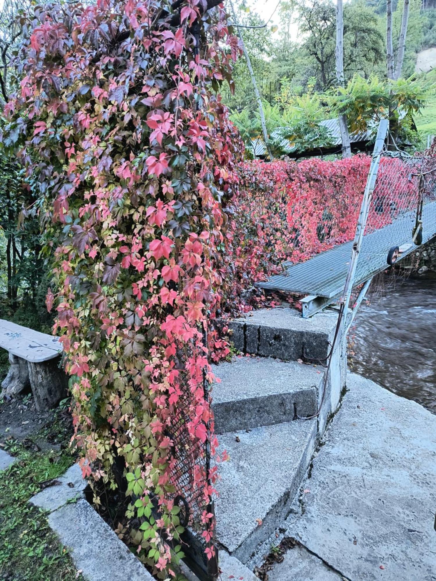 Casa De Vacanta Vidrighin Rau Sadului Екстериор снимка
