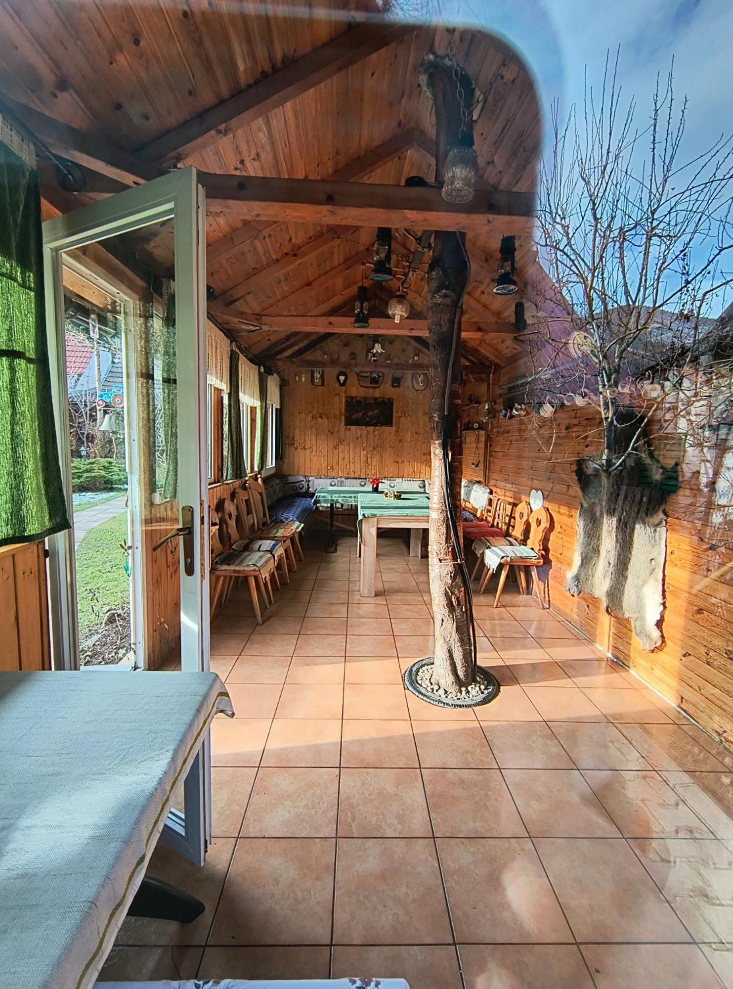 Casa De Vacanta Vidrighin Rau Sadului Екстериор снимка